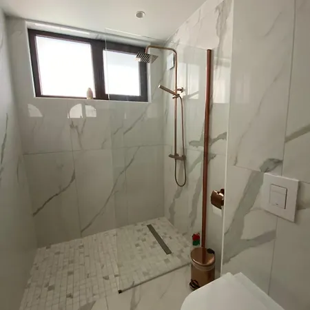 Luxurious House Sarafovo