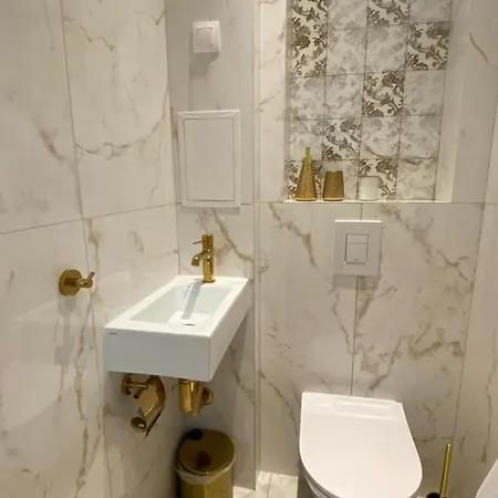 Luxurious House Sarafovo *